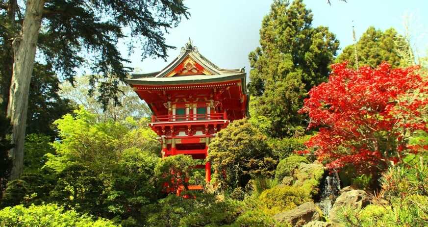 japanese tea garden